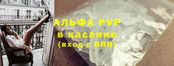прущие грибы Абинск