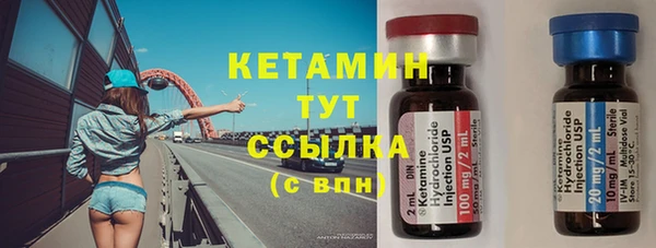 прущие грибы Абинск