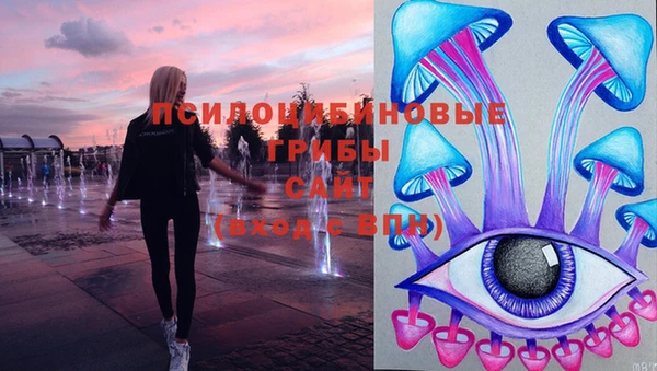 молекула духа Алексеевка