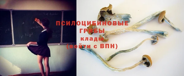 индика Армянск