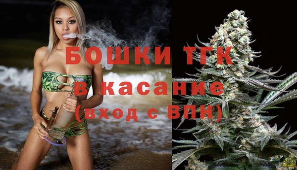 прущие грибы Абинск