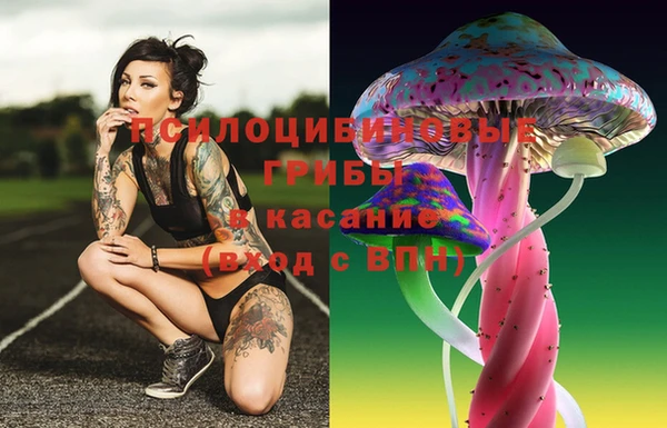 крисы Абаза