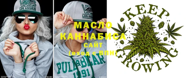 крисы Абаза