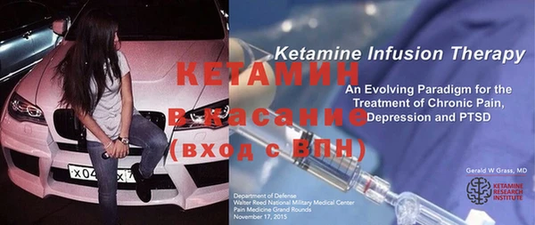 прущие грибы Абинск