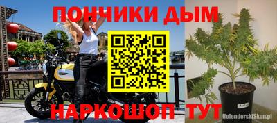 гидропоника Новозыбков