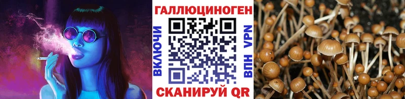 Псилоцибиновые грибы мицелий Якутск