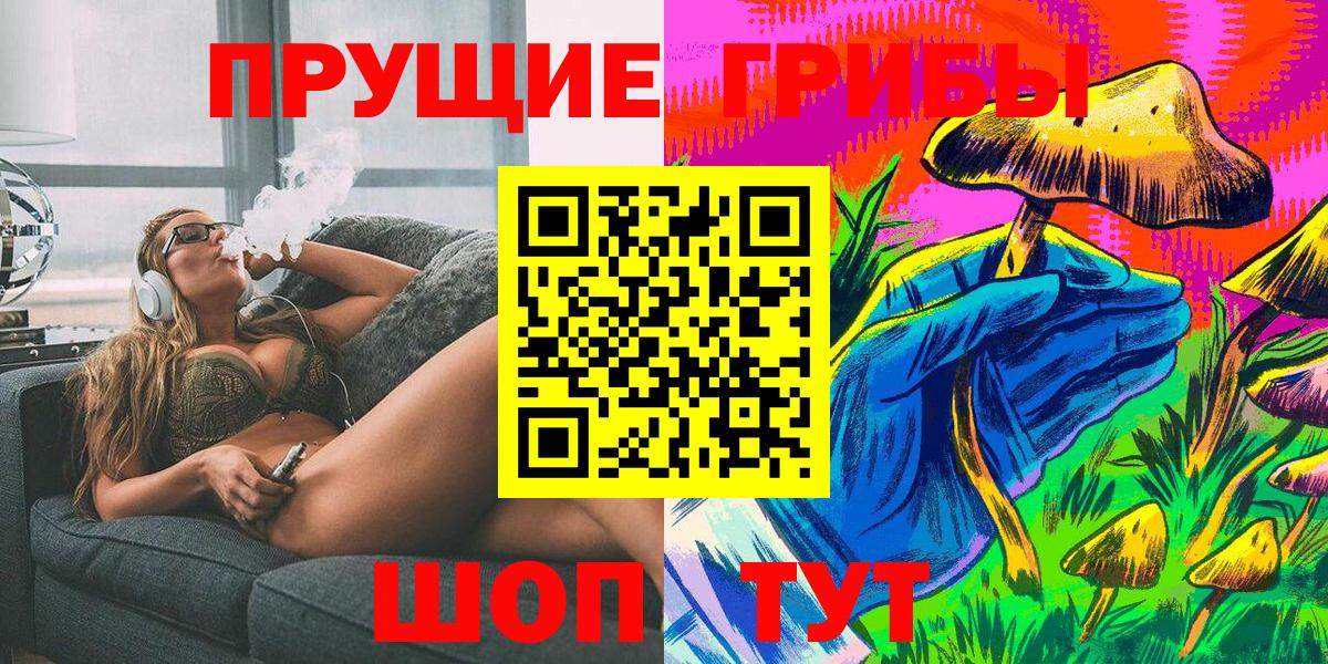 Псилоцибиновые грибы Psilocybe  Вход с VPN  Якутск 