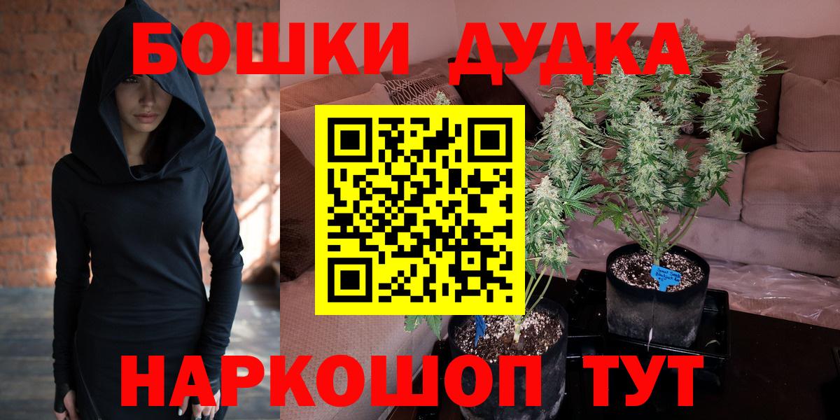 Канабис сатива Якутск